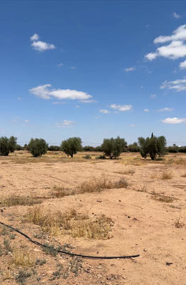 Terrain - 36 000 m²