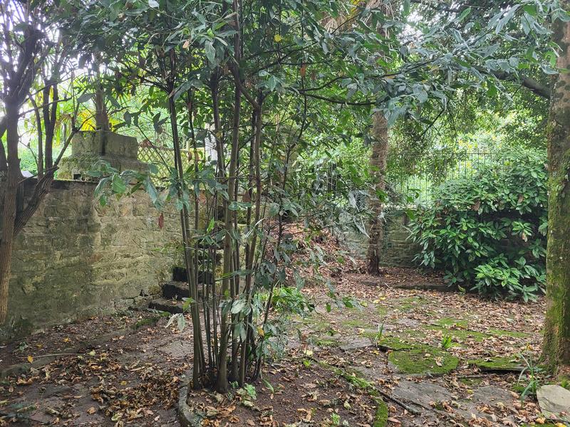 Local commercial - 140 m²