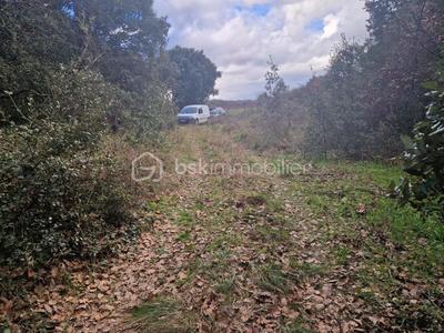 Terrain de loisirs - 2 580 m²