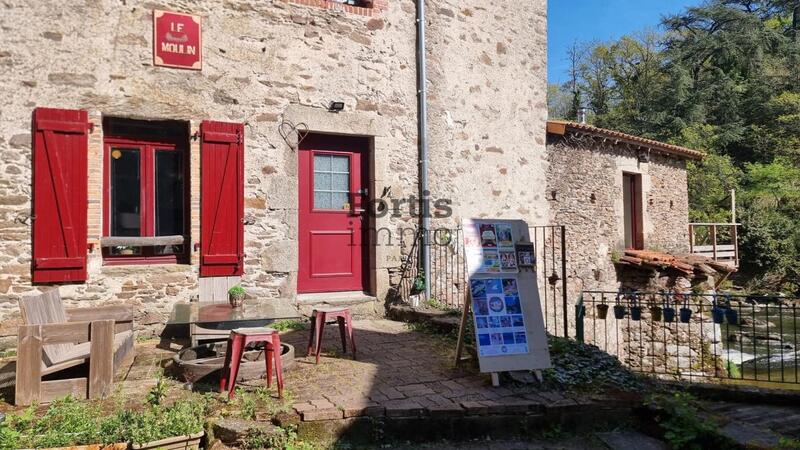 Moulin - 235 m² - 8 pièces