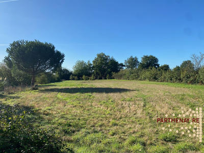 Maison ancienne - 136 m² - 6 pièces