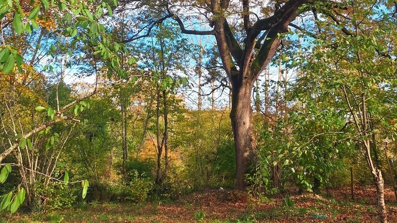 Maison traditionnelle - 250 m² - 9 pièces