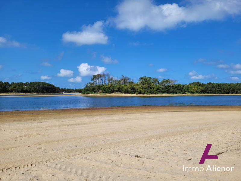 Appartement - 29 m² - 2 pièces