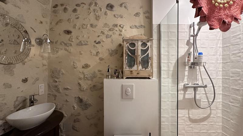 Fermette - 330 m² - 9 pièces