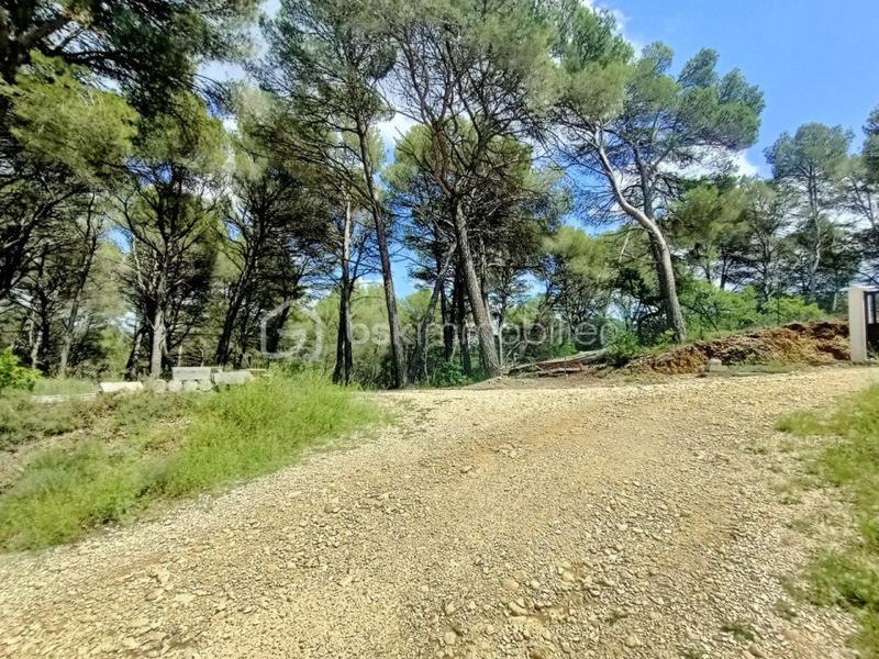 Terrain - 929 m²