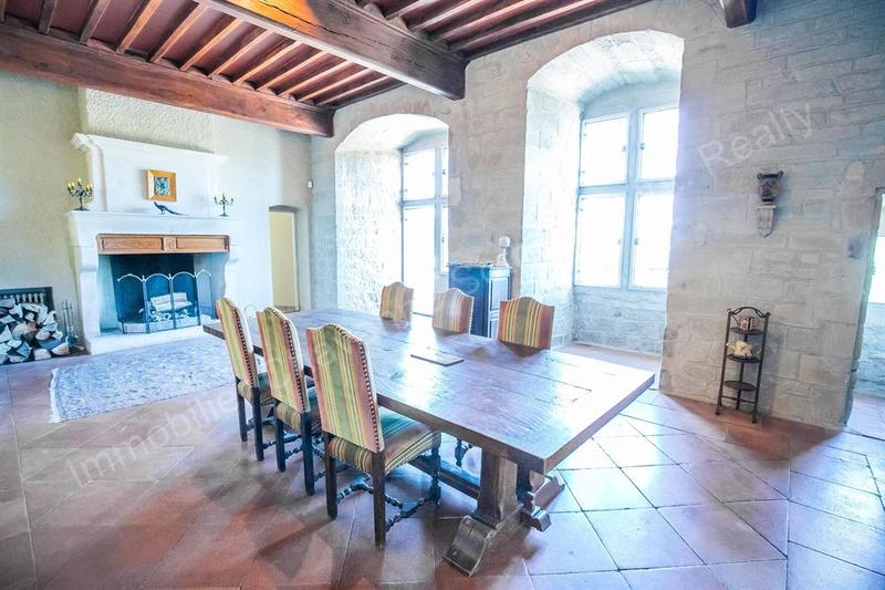 Château - 715 m² - 17 pièces