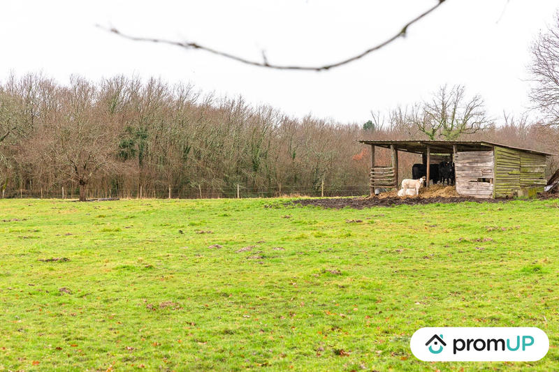 Terrain agricole - 50 040 m²