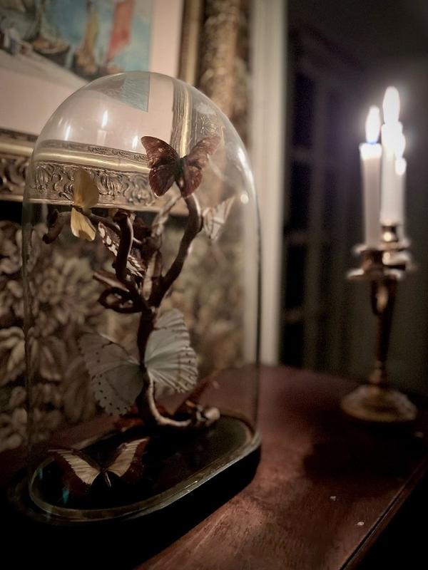 Echappée immersive : le château de Carneville pendant l'occupation