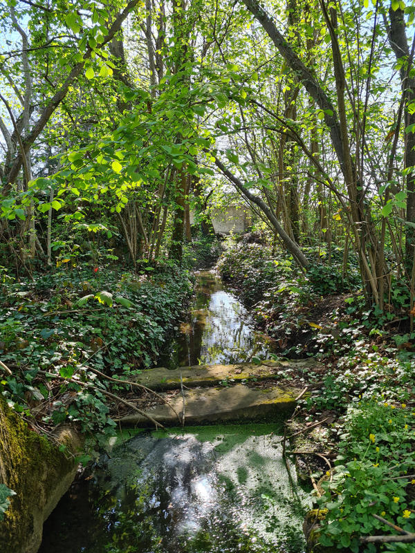 Propriété - 341 m² - 13 pièces