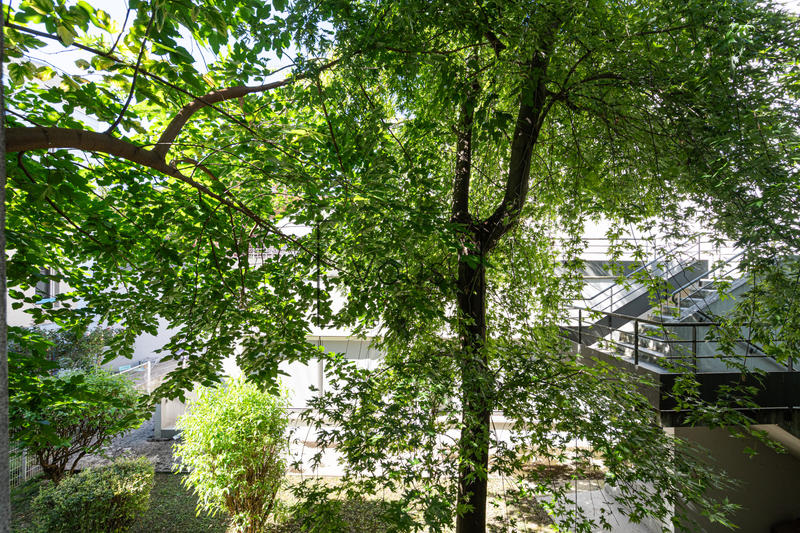 Appartement - 57 m² - 2 pièces