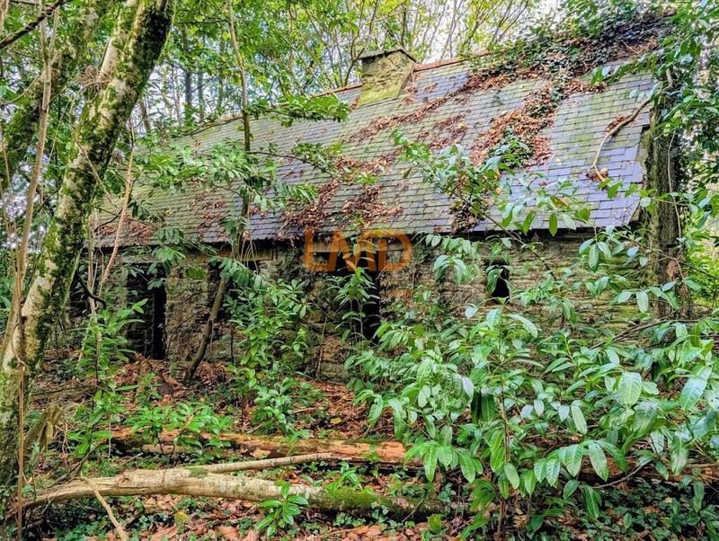 Maison en pierre - 60 m² - 2 pièces