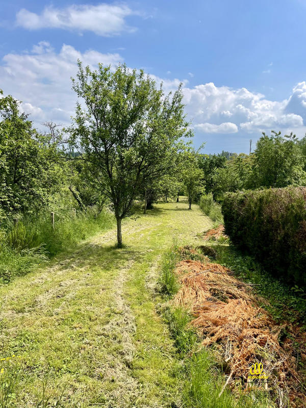 Maison - 190 m² - 5 pièces