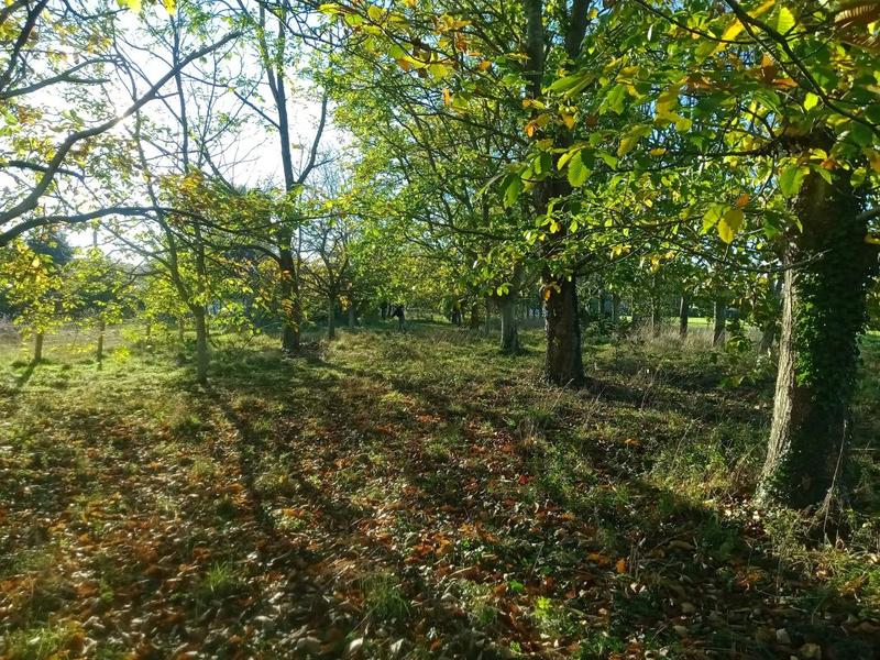 Maison - 62 m² - 4 pièces