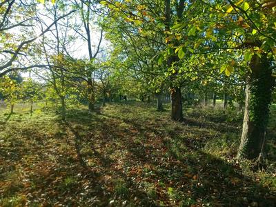 Maison - 62 m² - 4 pièces