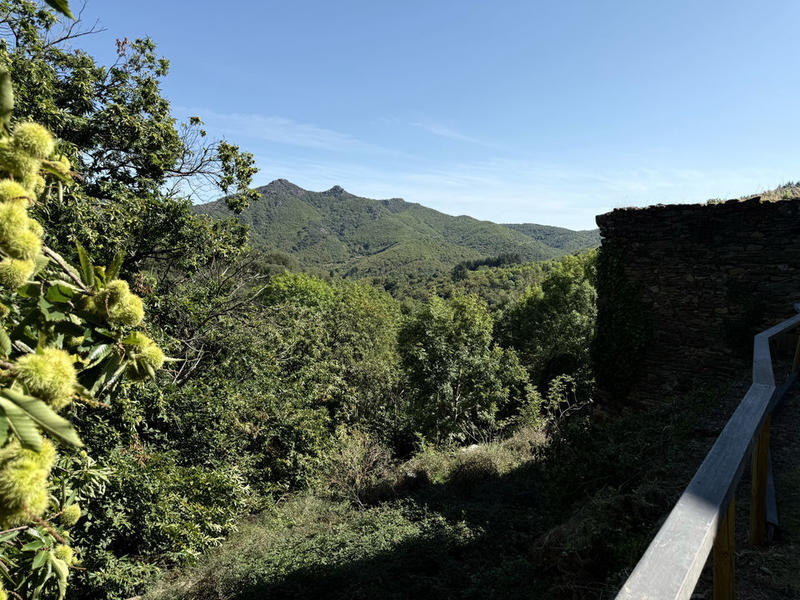 Maison - 234 m² - 4 pièces