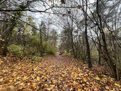 Terrain - 108 475 m²