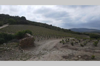 Terrain - 17 200 m²