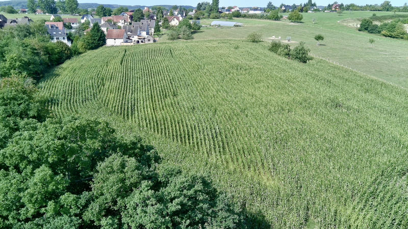 Maison - 500 m² - 13 pièces