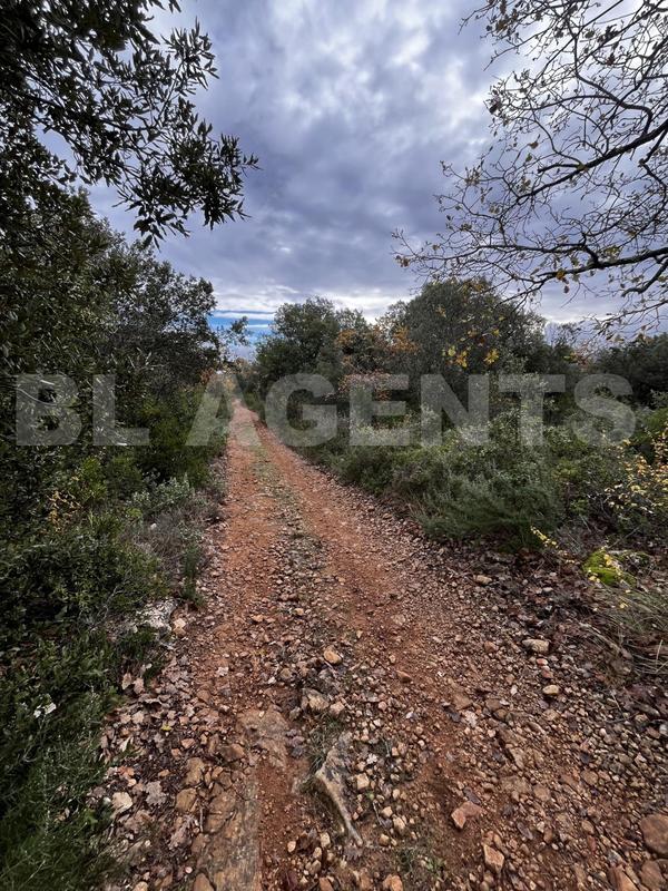 Terrain - 33 565 m²