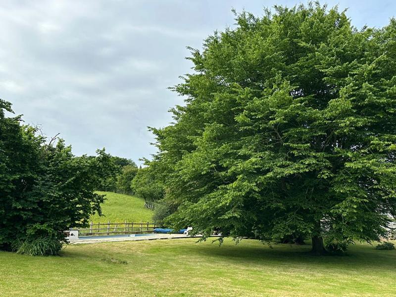 Longère - 175 m² - 8 pièces