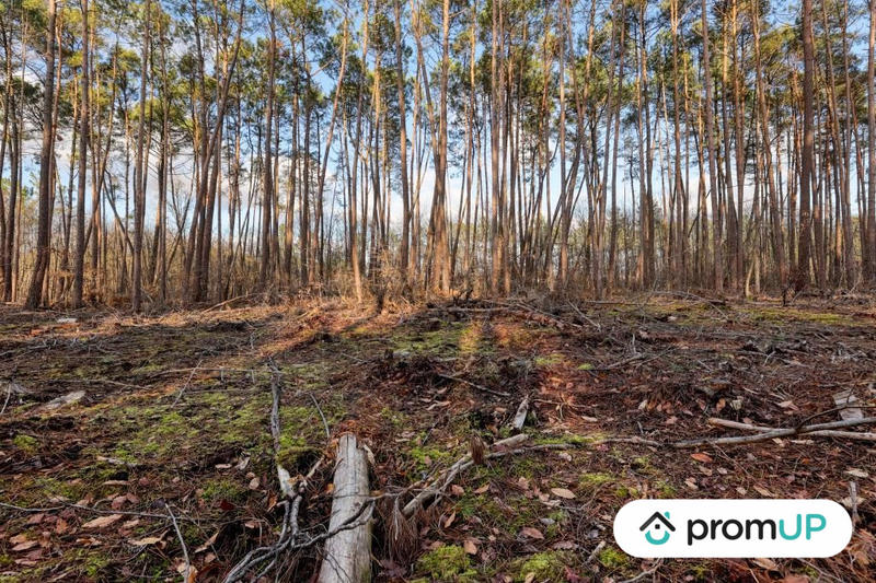 Terrain de loisirs - 1 570 m²