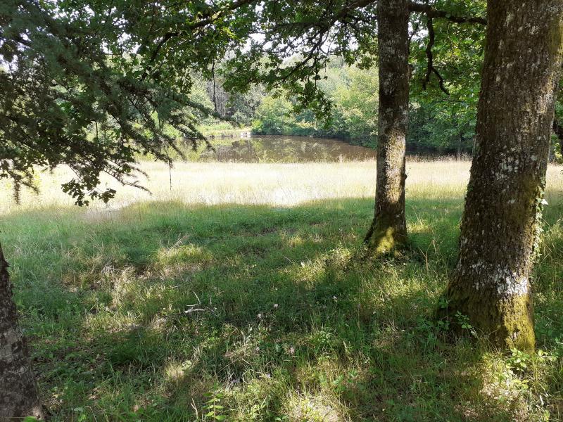 Terrain - 15 950 m²