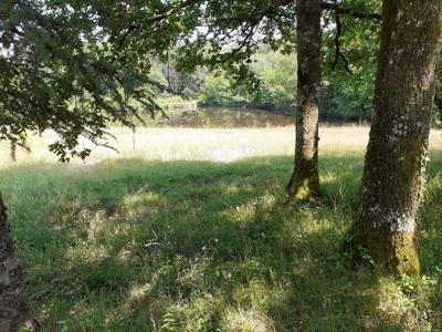 Terrain - 15 950 m²