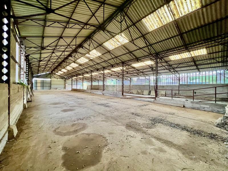 Ferme - 265 m² - 8 pièces