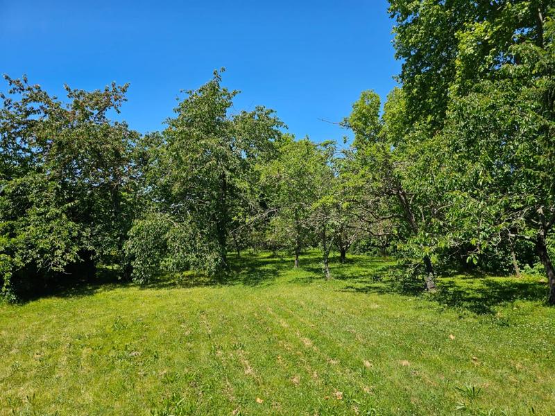 Maison - 121 m² - 6 pièces