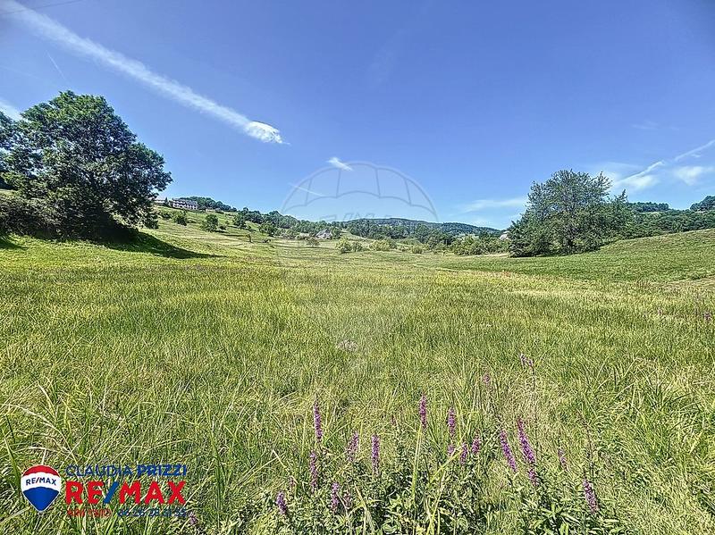 Maison - 181 m² - 4 pièces