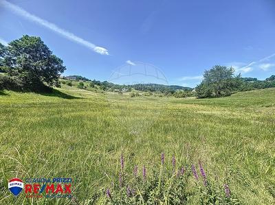 Maison - 181 m² - 4 pièces