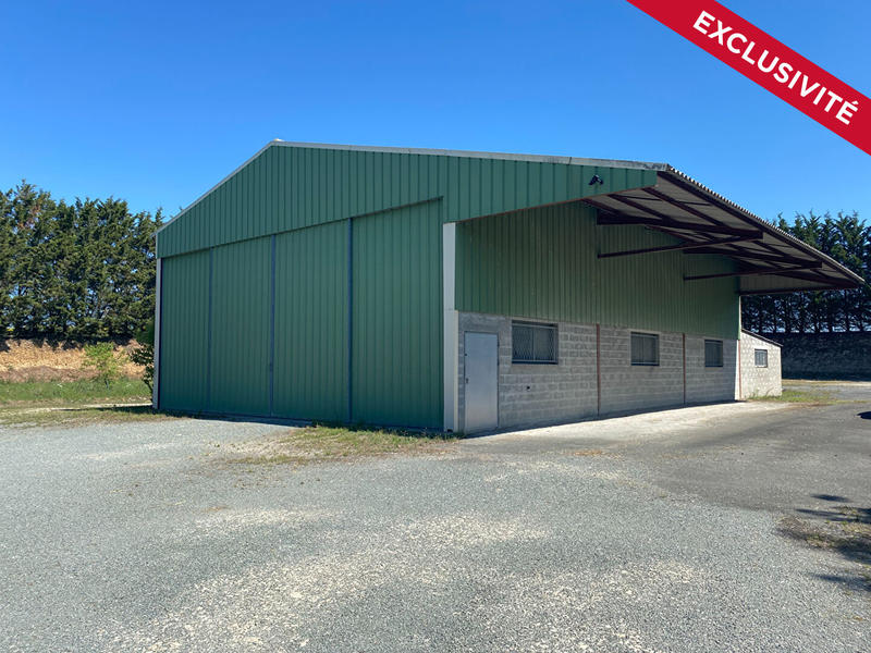 Local d'activité / Entrepôt - 300 m²