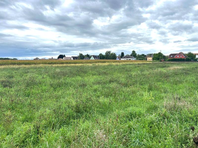 Terrain constructible - 446 m²