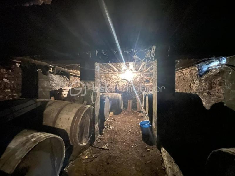 Maison en pierre - 158 m² - 7 pièces