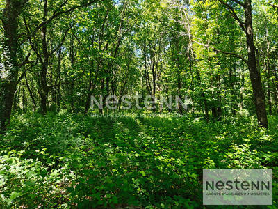 Terrain - 270 000 m²