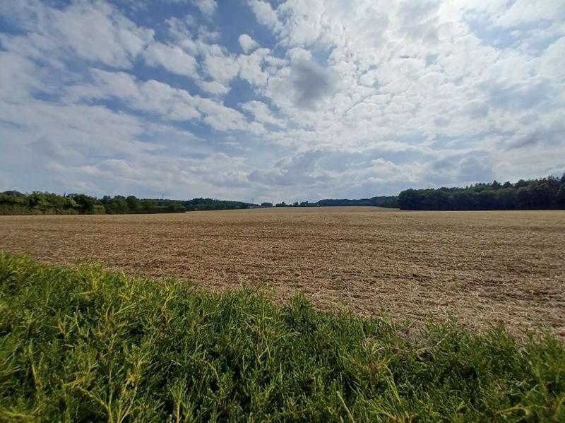 Maison - 233 m² - 5 pièces