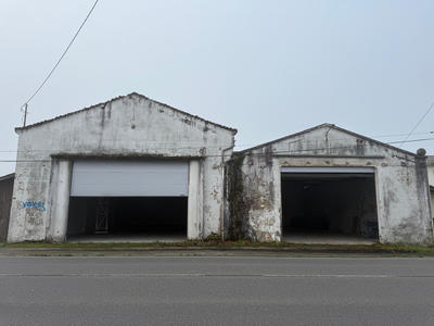 Bureau - 1 170 m² - 7 pièces