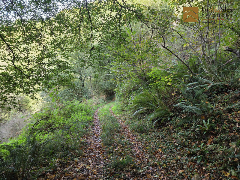 Maison ancienne - 69 m² - 2 pièces