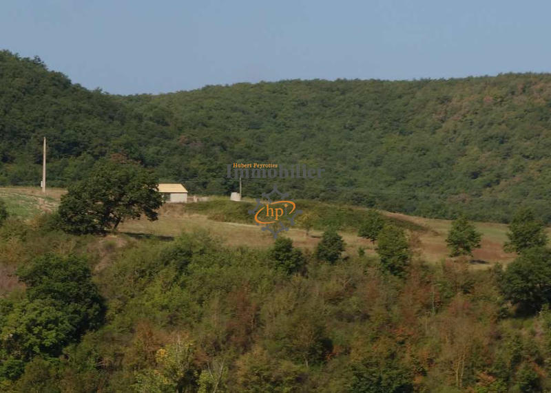 Propriété - 40 m² - 1 pièce