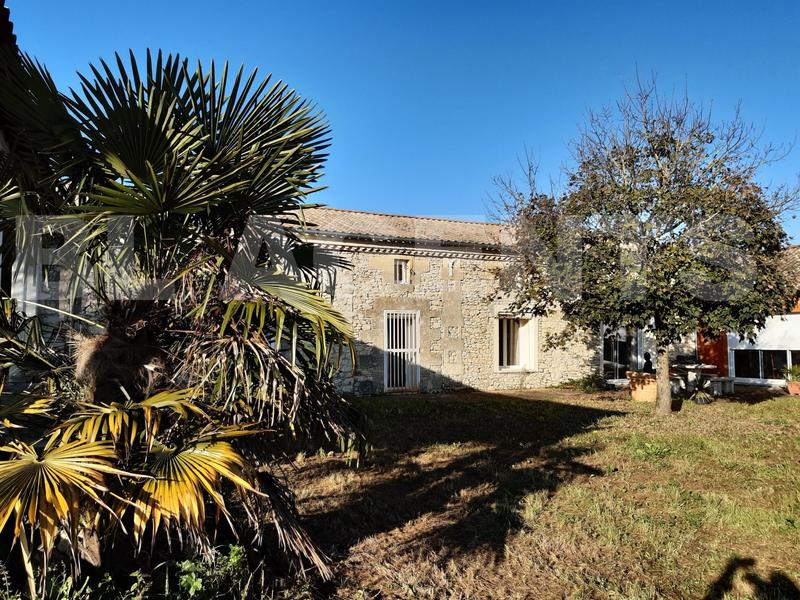 Maison en pierre - 469 m² - 10 pièces