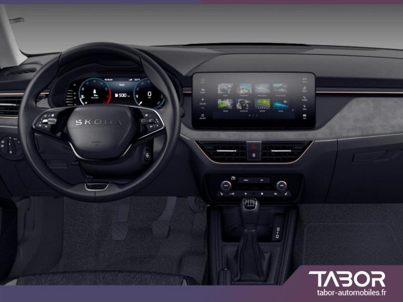 Skoda Kamiq Selec Lodge Gps Cam siegeschauff