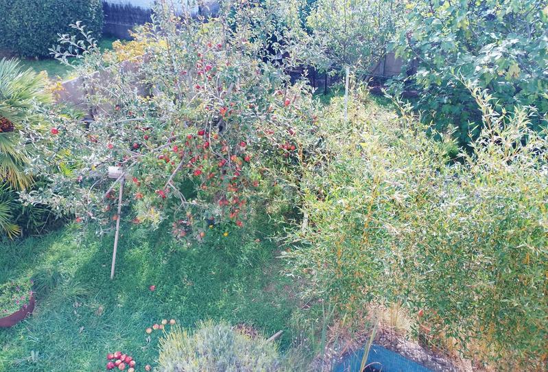 Maison - 171 m² - 6 pièces