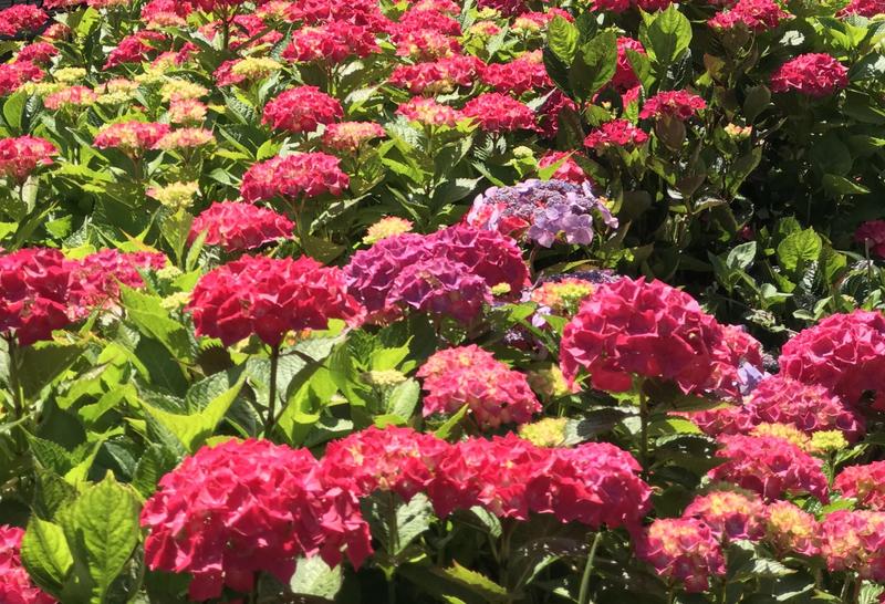 Appartement - 101 m² - 4 pièces