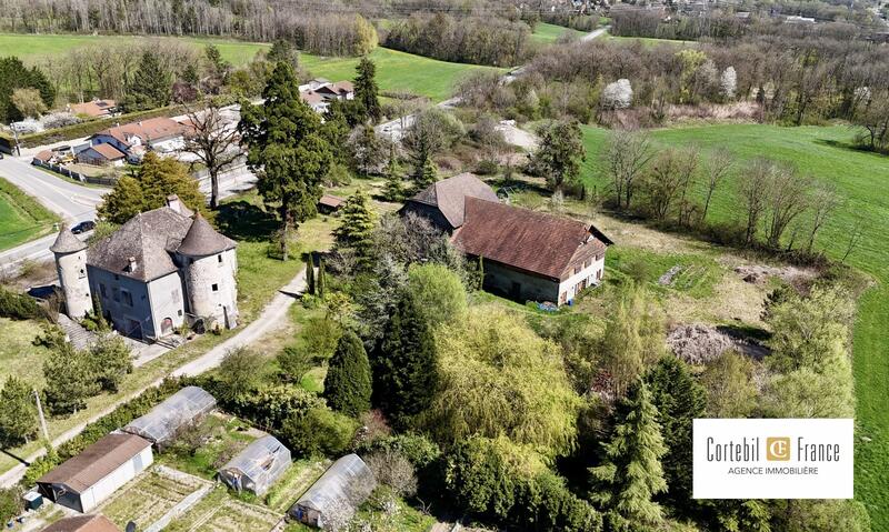 Château - 1 700 m² - 10 pièces