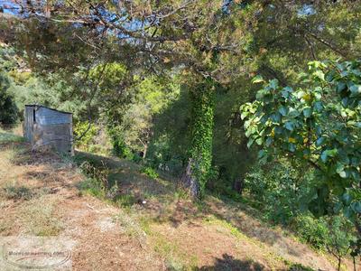Terrain constructible - 1 222 m²