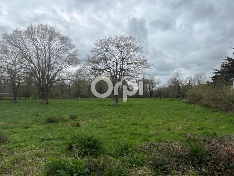 Terrain constructible - 9 566 m²