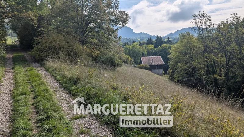 Ferme - 74 m² - 3 pièces