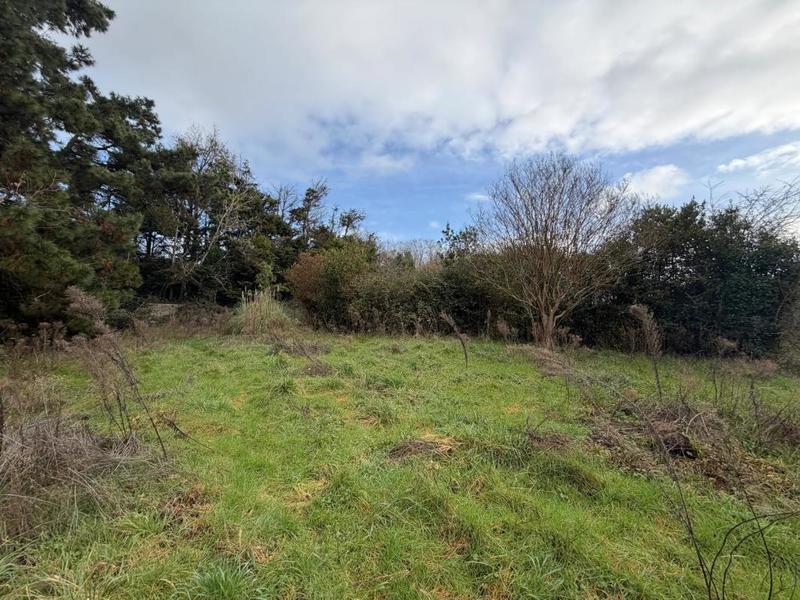 Maison - 130 m² - 4 pièces