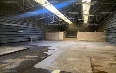 Local d'activité / Entrepôt - 580 m²
