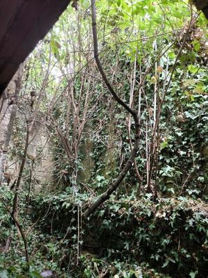 Bureau - 460 m² - 1 pièce